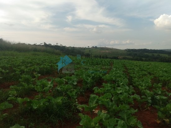 terreno-venda-sao-joaquim-de-bicas-mg-668075