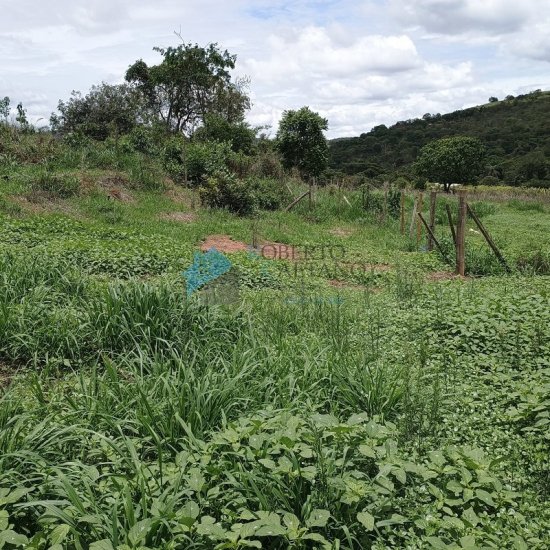 terreno-venda-bairro-queiroz-mateus-leme-mg-962086