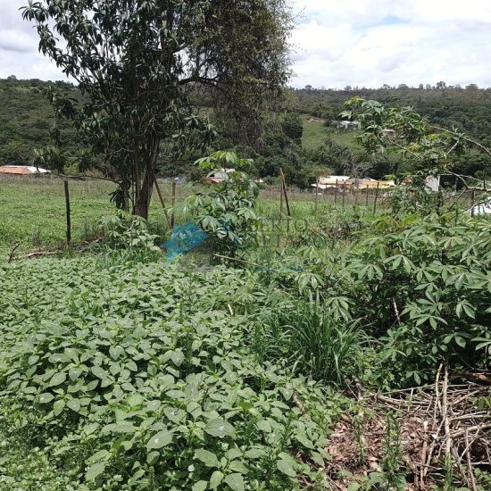 terreno-venda-bairro-queiroz-mateus-leme-mg-962088