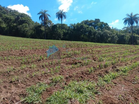 terreno-venda-serra-azul-mateus-leme-625670