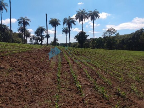 terreno-venda-serra-azul-mateus-leme-625674