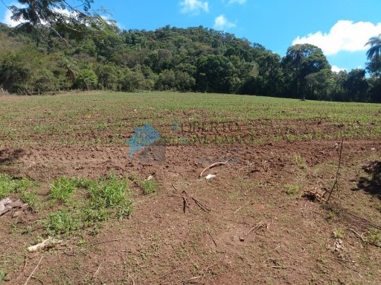 terreno-venda-serra-azul-mateus-leme-625661