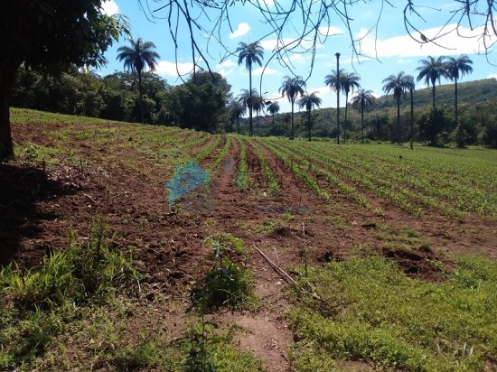 terreno-venda-serra-azul-mateus-leme-625663