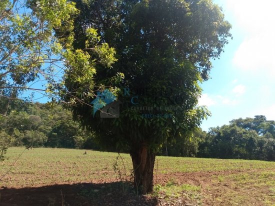 terreno-venda-serra-azul-mateus-leme-625665