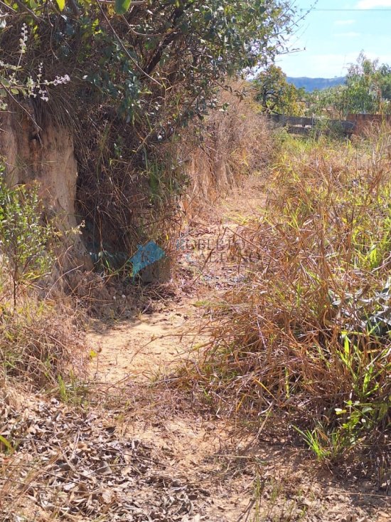 lote-venda-rua-seis-bairro-perola-negra-santa-luzia-mg-1038045